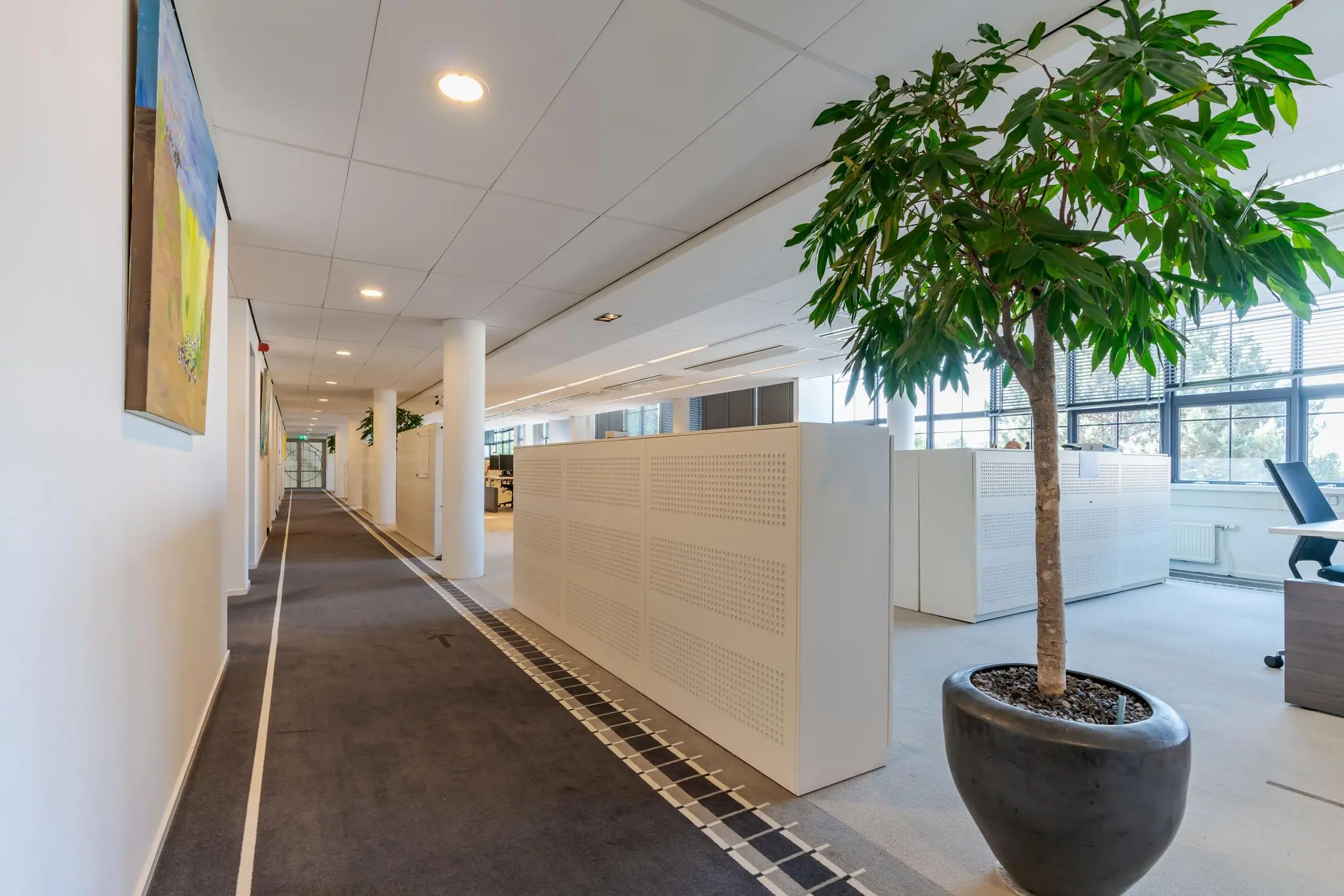 Moderne kantoorruimte aan de Van Alkemadelaan met open werkplekken, witte kasten en grote kamerplanten.